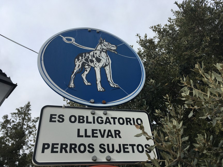 PERROS SUELTOS